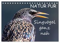 Vorderes Coverbild NATUR PUR - Singvögel ganz nah (Tischkalender 2025 DIN A5 quer), CALVENDO Monatskalender