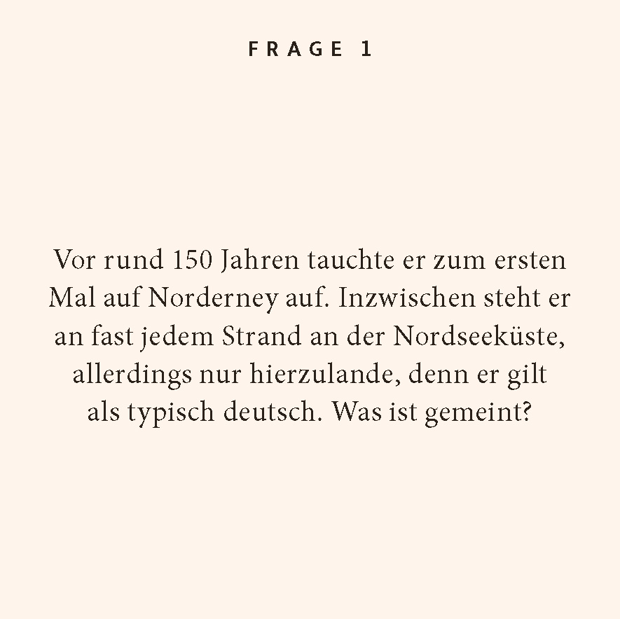 Beispielinhalt (Bild) Nordseeküste-Quiz