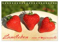 Vorderes Coverbild Landleben - eine Herzenssache (Tischkalender 2025 DIN A5 quer), CALVENDO Monatskalender
