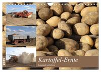 Vorderes Coverbild Kartoffel-Ernte - hautnah erleben (Wandkalender 2025 DIN A4 quer), CALVENDO Monatskalender