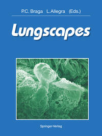 Vorderes Coverbild Lungscapes