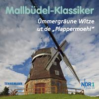 Vorderes Coverbild Mallbüdel-Klassiker
