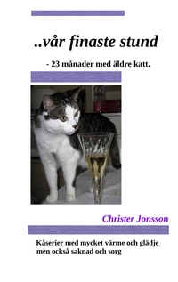 Vorderes Coverbild ...vår finaste stund