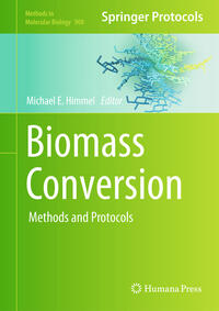 Vorderes Coverbild Biomass Conversion