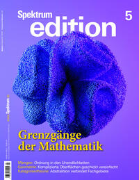 Vorderes Coverbild Spektrum edition Nr. 5 - Grenzgänge der Mathematik