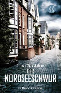 Vorderes Coverbild Der Nordseeschwur