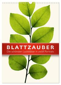 Vorderes Coverbild Blattzauber (Wandkalender 2026 DIN A3 hoch), CALVENDO Monatskalender