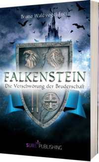 Vorderes Coverbild Falkenstein