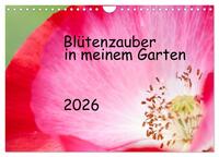 Vorderes Coverbild Blütenzauber in meinem Garten (Wandkalender 2026 DIN A4 quer), CALVENDO Monatskalender