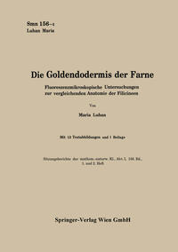 Vorderes Coverbild Die Goldendodermis der Farne