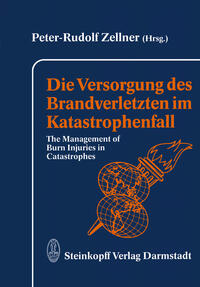 Vorderes Coverbild Die Versorgung des Brandverletzten im Katastrophenfall