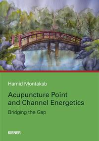 Vorderes Coverbild Acupuncture Point and Channel Energetics