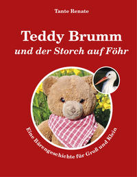 Vorderes Coverbild Teddy Brumm und der Storch auf Föhr