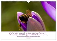 Vorderes Coverbild Schau mal genauer hin ... Detailfotografie aus unserer wunderschönen Natur (Wandkalender 2025 DIN A3 quer), CALVENDO Monatskalender