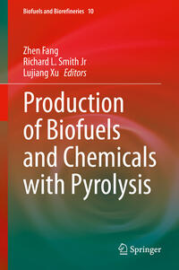 Vorderes Coverbild Production of Biofuels and Chemicals with Pyrolysis