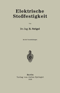 Vorderes Coverbild Elektrische Stoßfestigkeit
