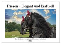 Vorderes Coverbild Friesen - elegant und kraftvoll (Wandkalender 2025 DIN A2 quer), CALVENDO Monatskalender