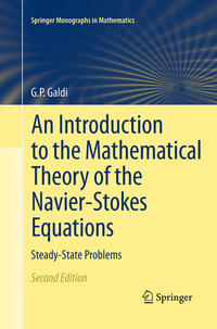 Vorderes Coverbild An Introduction to the Mathematical Theory of the Navier-Stokes Equations