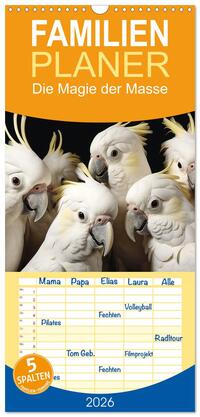 Vorderes Coverbild Familienplaner 2026 - Die Magie der Masse mit 5 Spalten (Wandkalender, 21 x 45 cm) CALVENDO