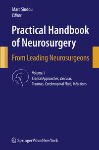 Vorderes Coverbild Practical Handbook of Neurosurgery