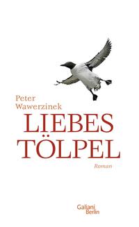 Vorderes Coverbild Liebestölpel
