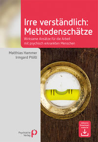 Vorderes Coverbild Irre Verständlich: Methodenschätze