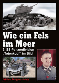 Vorderes Coverbild Wie ein Fels im Meer (2)