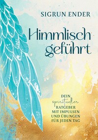 Vorderes Coverbild Himmlisch geführt