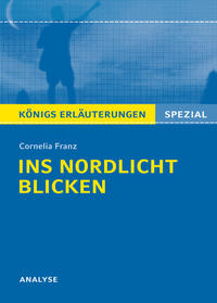 Vorderes Coverbild Ins Nordlicht blicken von Cornelia Franz. Königs Erläuterungen Spezial.