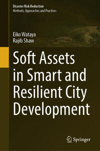 Vorderes Coverbild Soft Assets in Smart and Resilient City Development