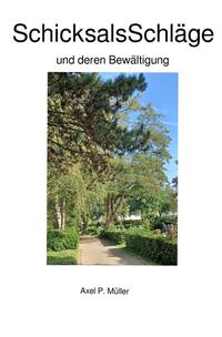 Vorderes Coverbild SchicksalsSchläge