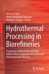 Vorderes Coverbild Hydrothermal Processing in Biorefineries