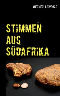 Vorderes Coverbild Stimmen aus Südafrika