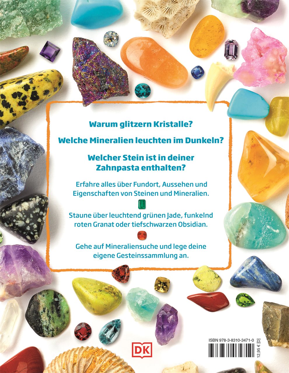 Rückseitencover Steine und Mineralien