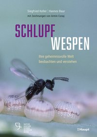 Vorderes Coverbild Schlupfwespen