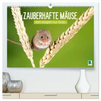 Vorderes Coverbild Zauberhafte Mäuse: Von wegen nur Grau (hochwertiger Premium Wandkalender 2025 DIN A2 quer), Kunstdruck in Hochglanz
