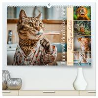 Vorderes Coverbild Humorvoll durch das Jahr (hochwertiger Premium Wandkalender 2025 DIN A2 quer), Kunstdruck in Hochglanz