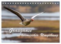 Vorderes Coverbild Graugänse in heimischer Umgebung (Tischkalender 2025 DIN A5 quer), CALVENDO Monatskalender