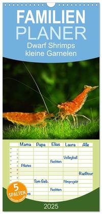 Vorderes Coverbild Familienplaner 2025 - Dwarf Shrimps - kleine Garnelen mit 5 Spalten (Wandkalender, 21 x 45 cm) CALVENDO