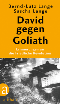 Vorderes Coverbild David gegen Goliath