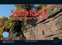 Vorderes Coverbild SteinReich