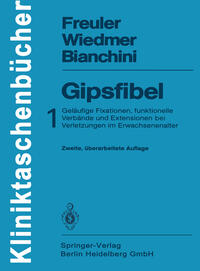 Vorderes Coverbild Gipsfibel