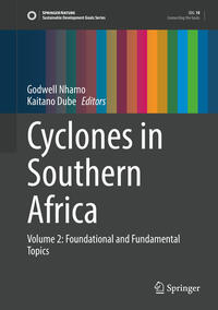 Vorderes Coverbild Cyclones in Southern Africa