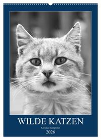 Vorderes Coverbild Wilde Katzen - Korsikas Samtpfoten (Wandkalender 2026 DIN A2 hoch), CALVENDO Monatskalender
