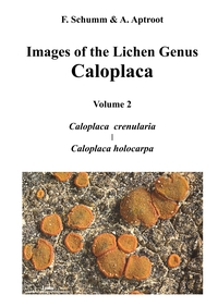 Vorderes Coverbild Images of the Lichen Genus Caloplaca, Vol 2