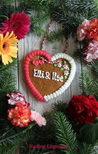 Vorderes Coverbild Elli und Ilse