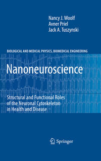 Vorderes Coverbild Nanoneuroscience