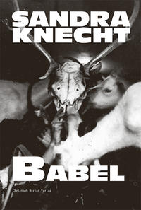 Vorderes Coverbild Sandra Knecht - Babel