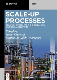 Vorderes Coverbild Scale-Up Processes