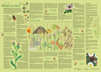 Vorderes Coverbild Erlebnisposter "Bienen im Blick"